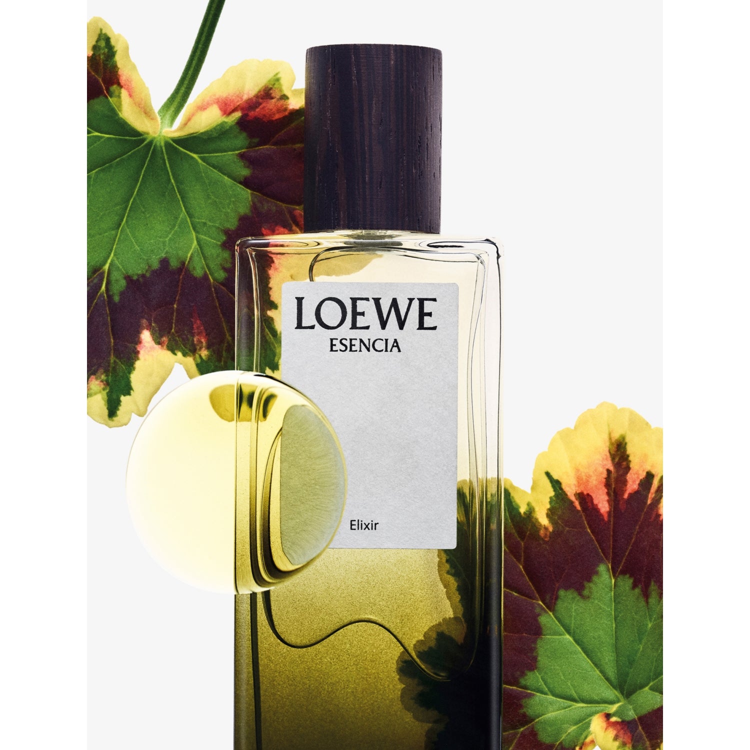 Loewe Esencia Elixir eau de parfum - British product