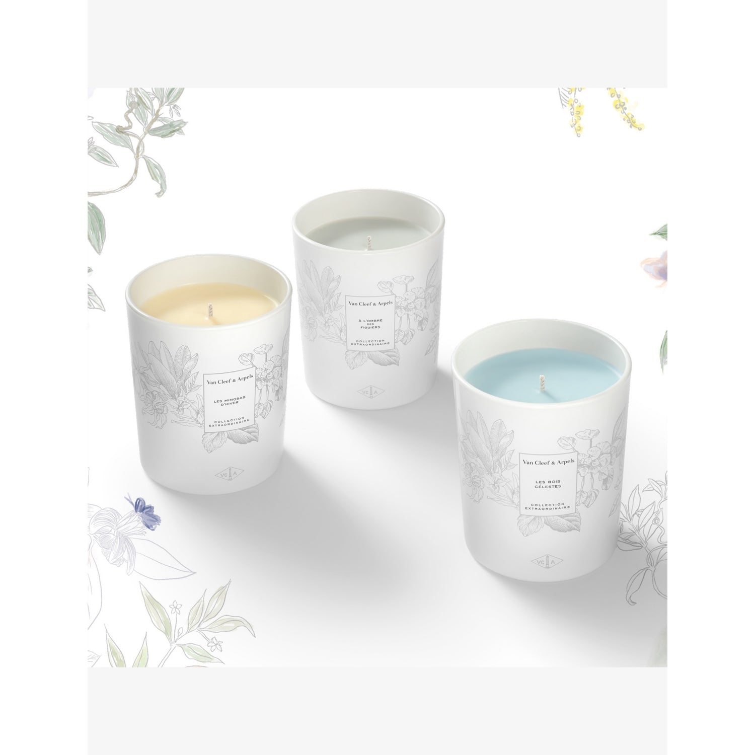 Van Cleef & Arpels Les Mimosas d'Hiver scented candle 240g (British brand)