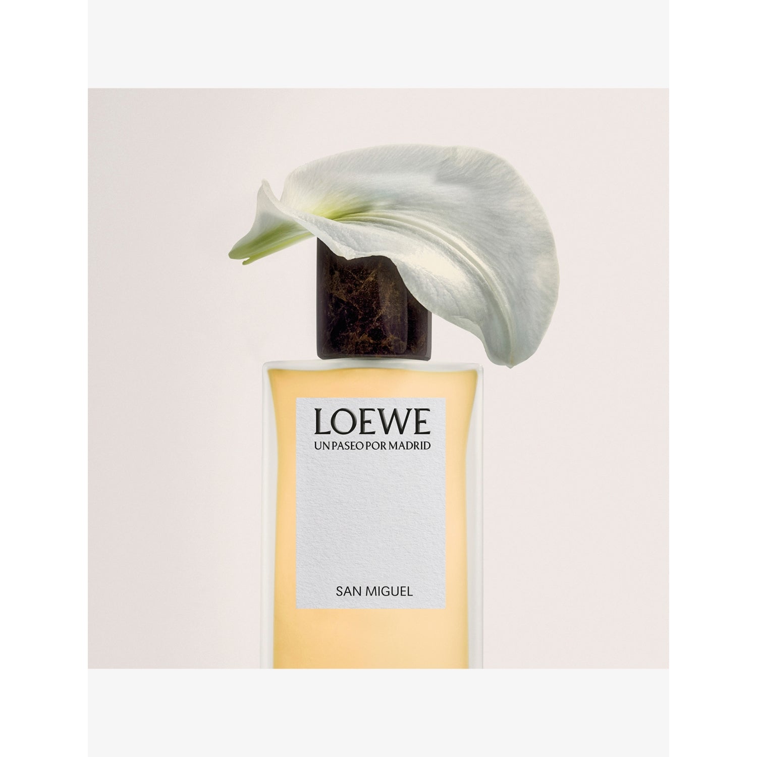 Loewe Un Paseo por Madrid eau de parfum 100ml (British brand)