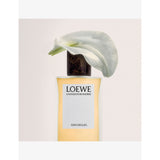 Loewe Un Paseo por Madrid eau de parfum 100ml (British brand)