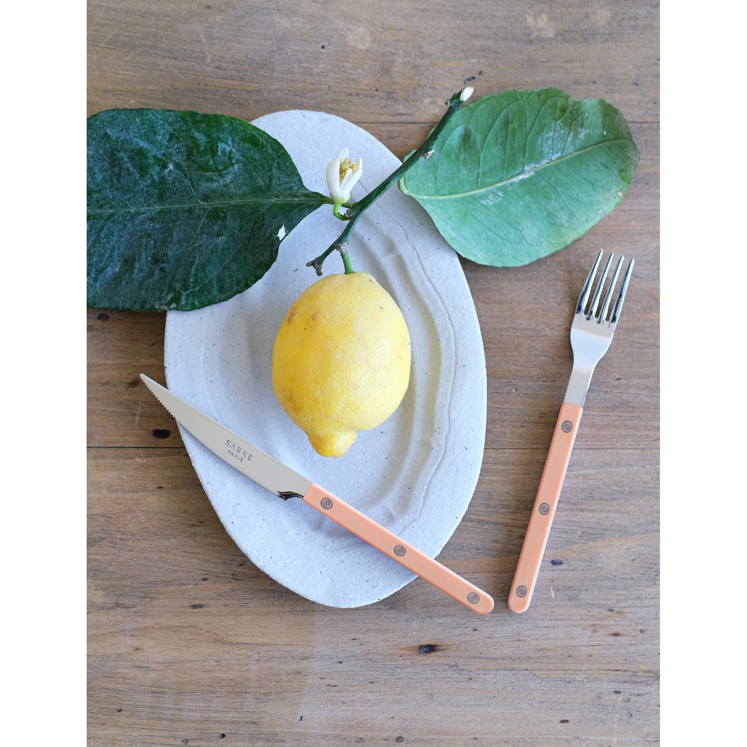 Sabre Bistrot stainless steel and acrylic cutlery set of four, UK version