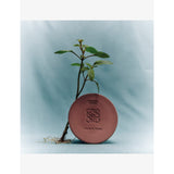 Loewe Incense balsamic scented candle 610g, UK version