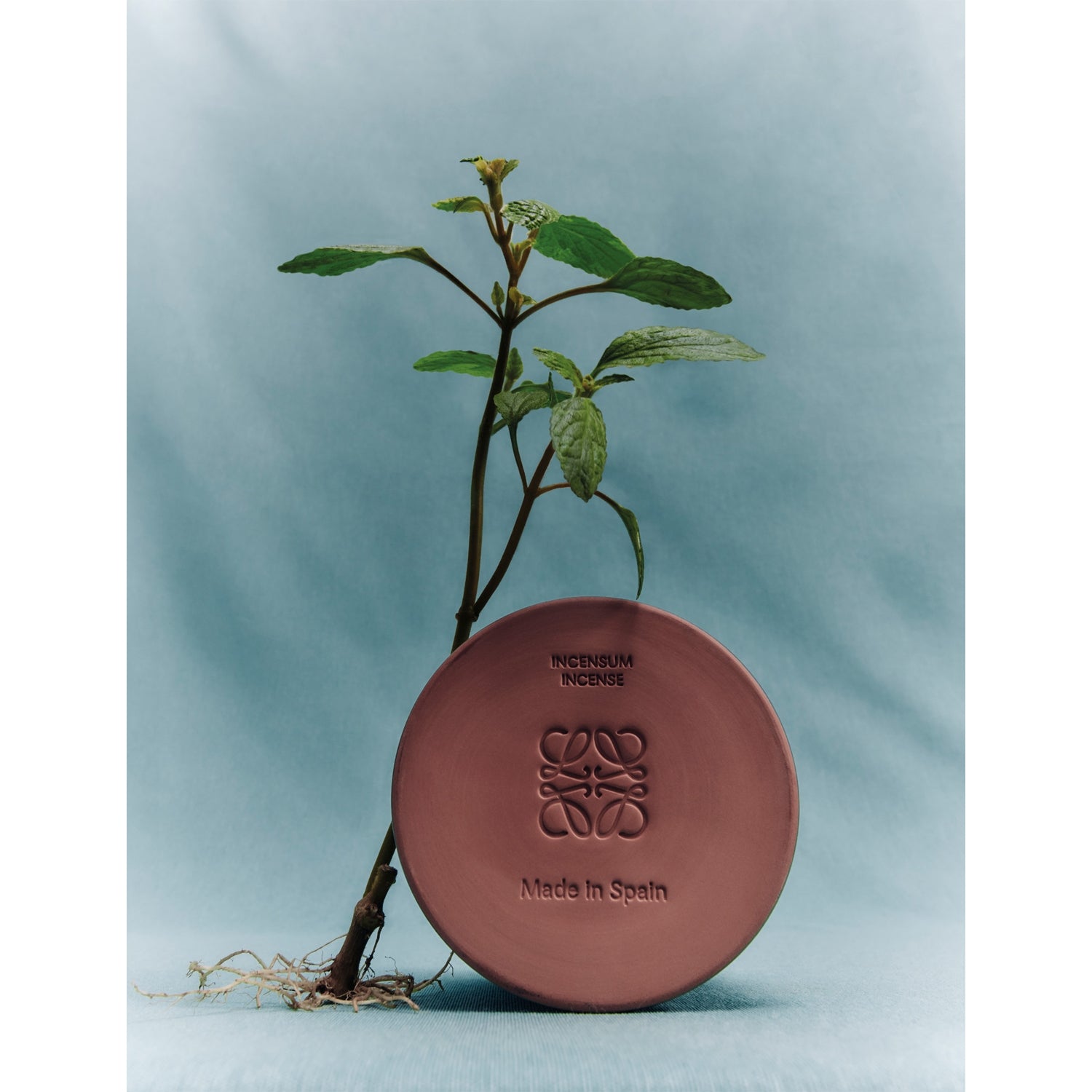 Loewe incense scented candle 2.1kg (British brand)