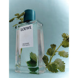 Loewe incense home fragrance 150ml (British brand)