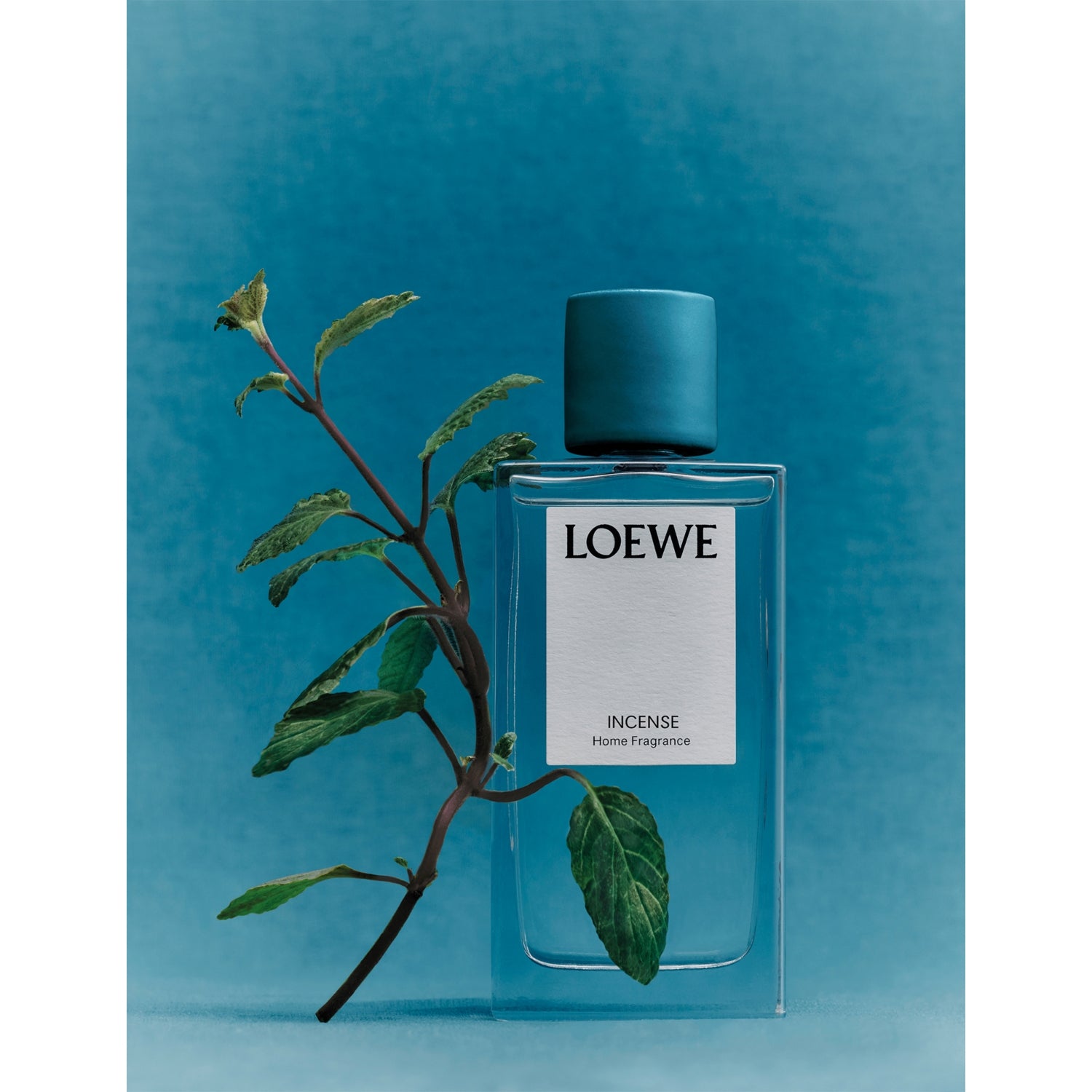 Loewe incense home fragrance 150ml (British brand)