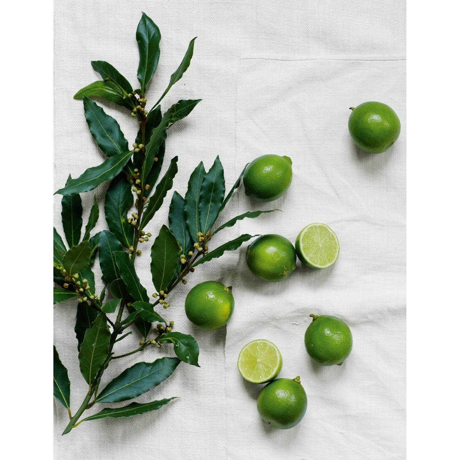 The White Company Lime Bay home spray 100ml, imported from the UK