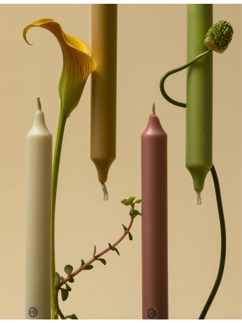 Carriere Freres tomato-scented taper candles set of six 20cm - British product
