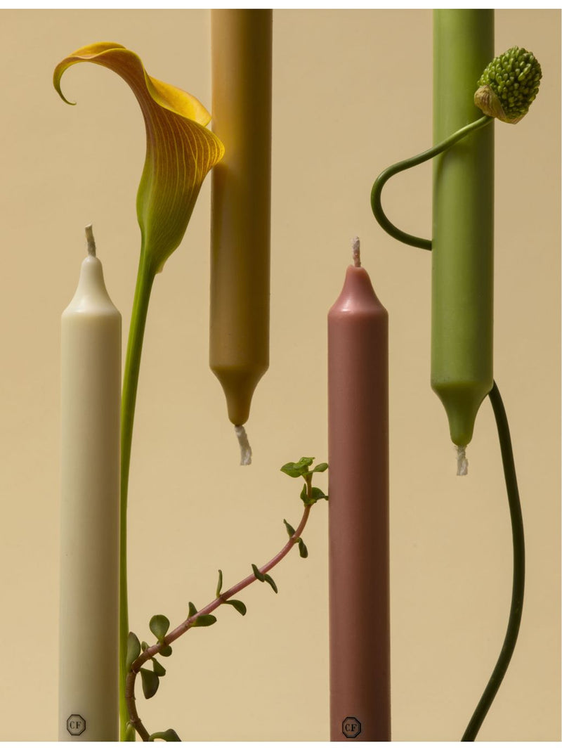 Carriere Freres tomato-scented taper candles set of six 20cm - British product