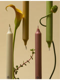 Carriere Freres tomato-scented taper candles set of six 20cm - British product