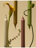 Carrière Frères spearmint-scented taper candles set of six 20cm - British product