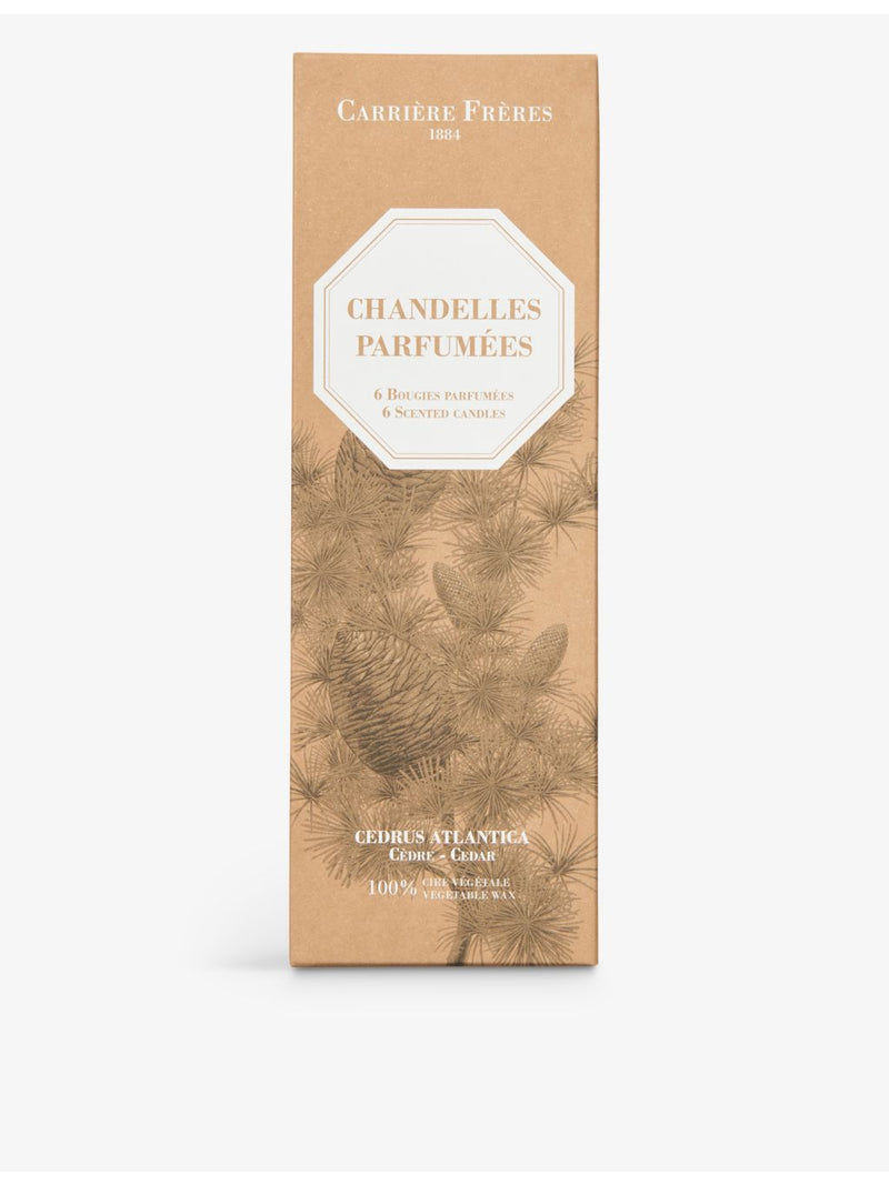 Carrière Frères cedar-scented taper candles set of six 20cm - British product