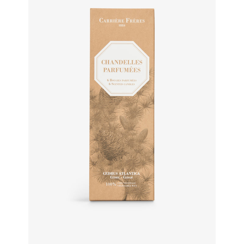 Carrière Frères cedar-scented taper candles set of six 20cm - British product