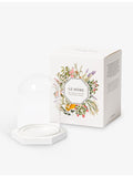 Carrière Frères glass candle dome with octagonal wooden base - British product