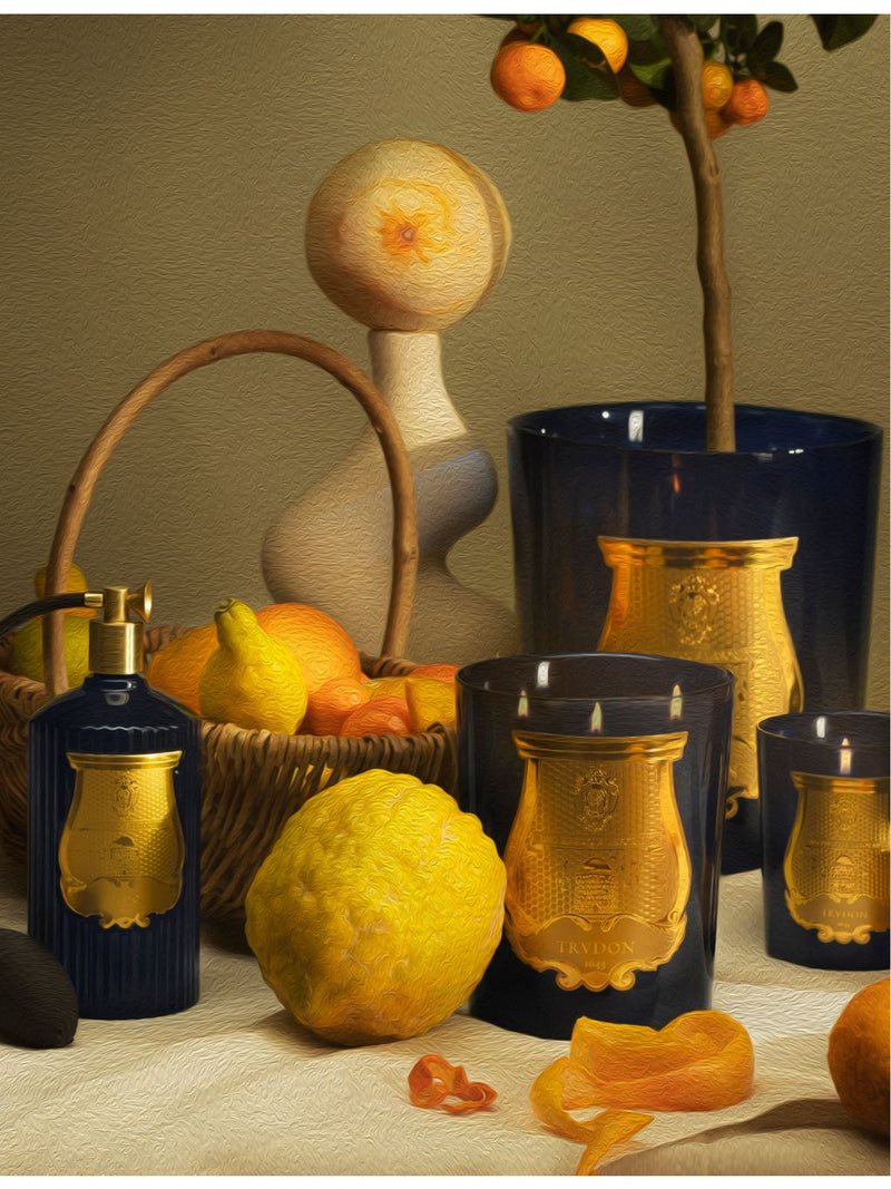 Trudon Reggio Belles Matieres room spray 375ml (British brand)