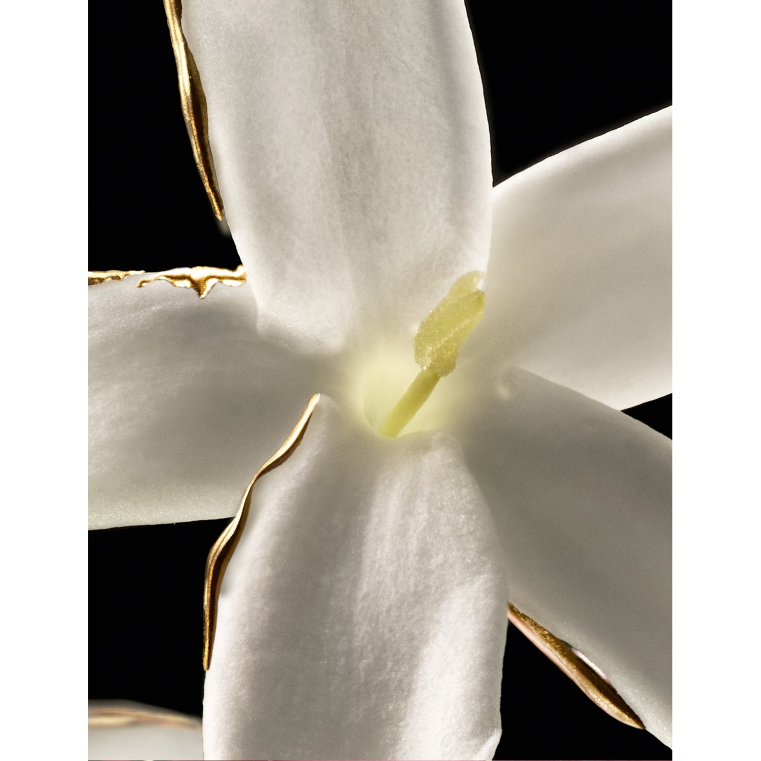 Guerlain Jasmin Grandiflorum Extrait 30 perfume extract 50ml, imported from the UK