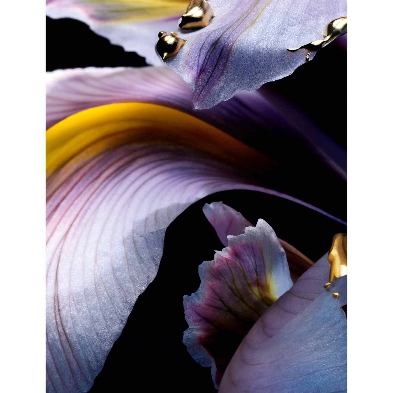 Guerlain Iris Pallida Extrait 6 parfum extract 50ml, UK version