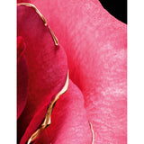 Guerlain Rose Centifolia parfum extract 50ml (British brand)
