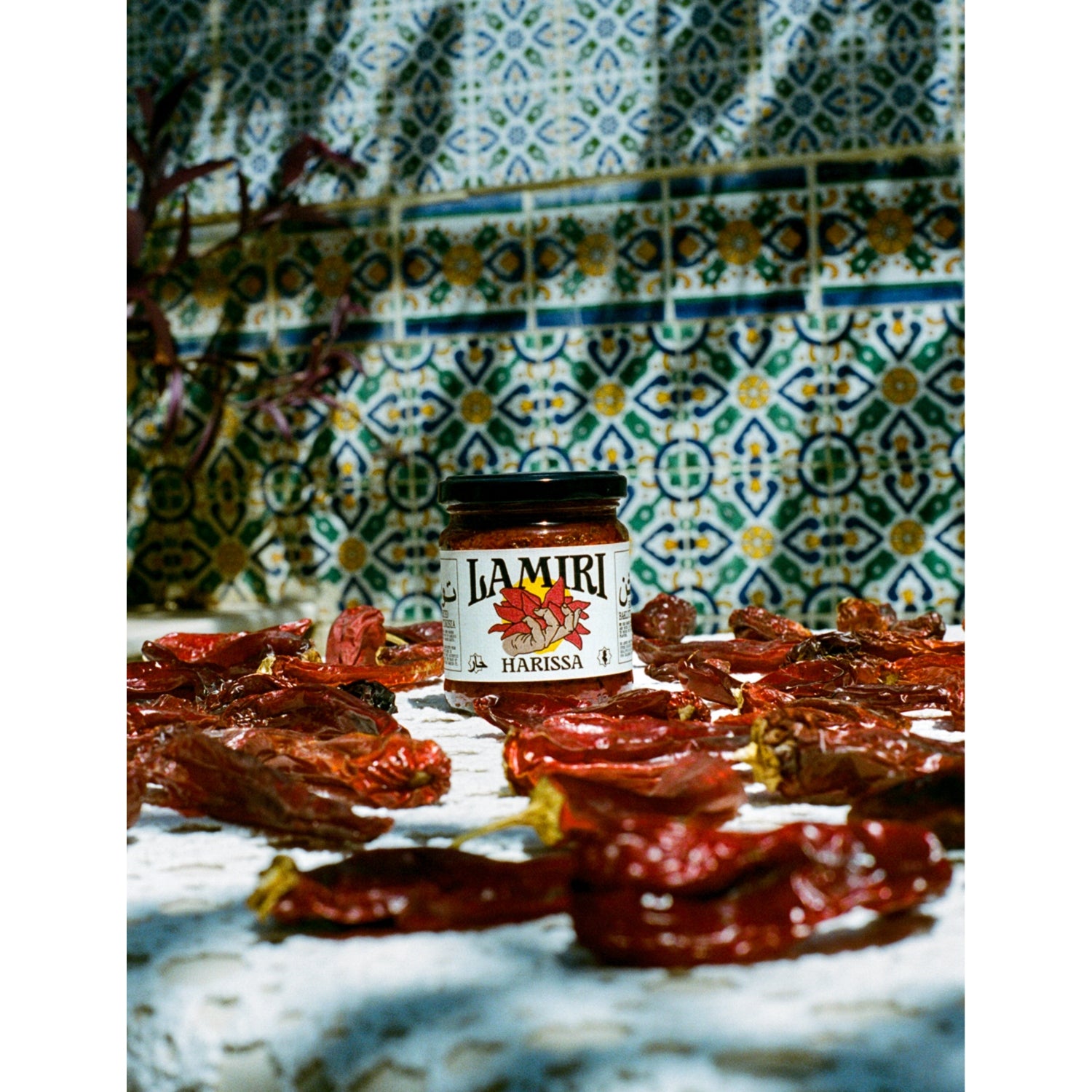 Lamiri authentic Tunisian harissa paste 190g (British brand)