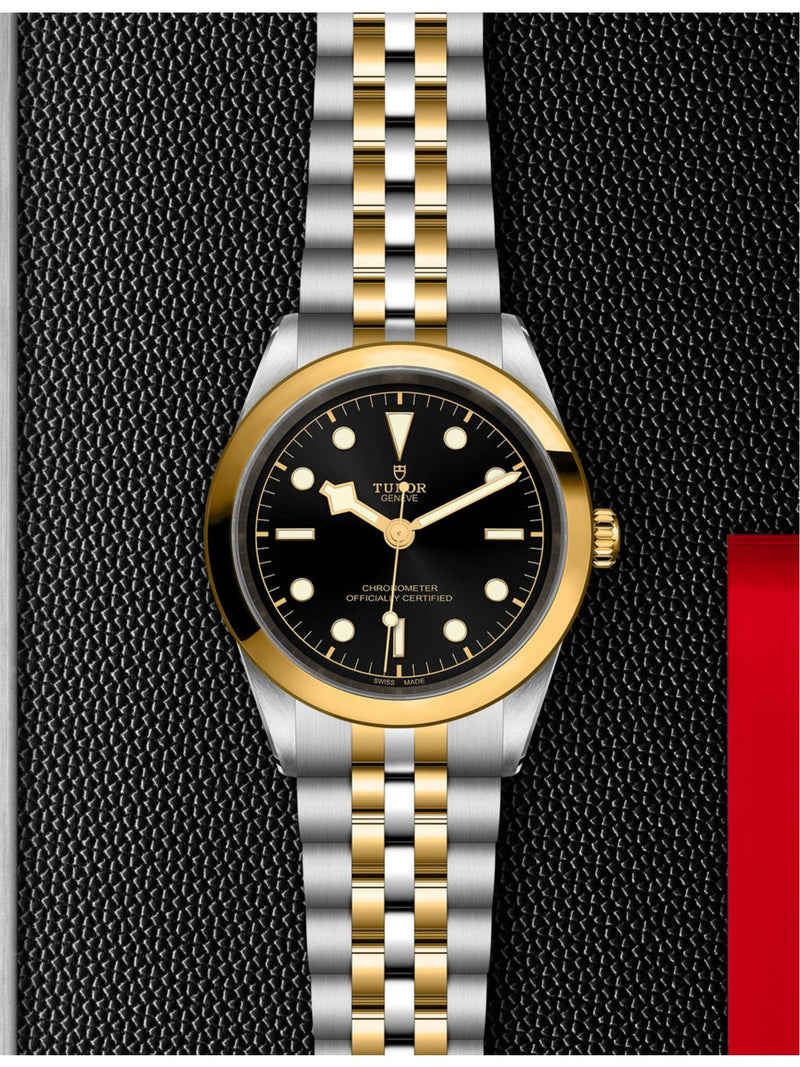 Tudor Black Bay 41 yellow-gold steel automatic watch, imported from the UK