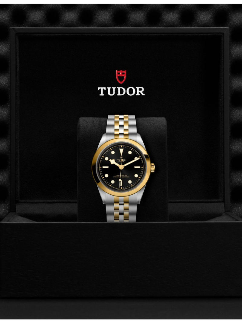 Tudor Black Bay 41 yellow-gold steel automatic watch, imported from the UK