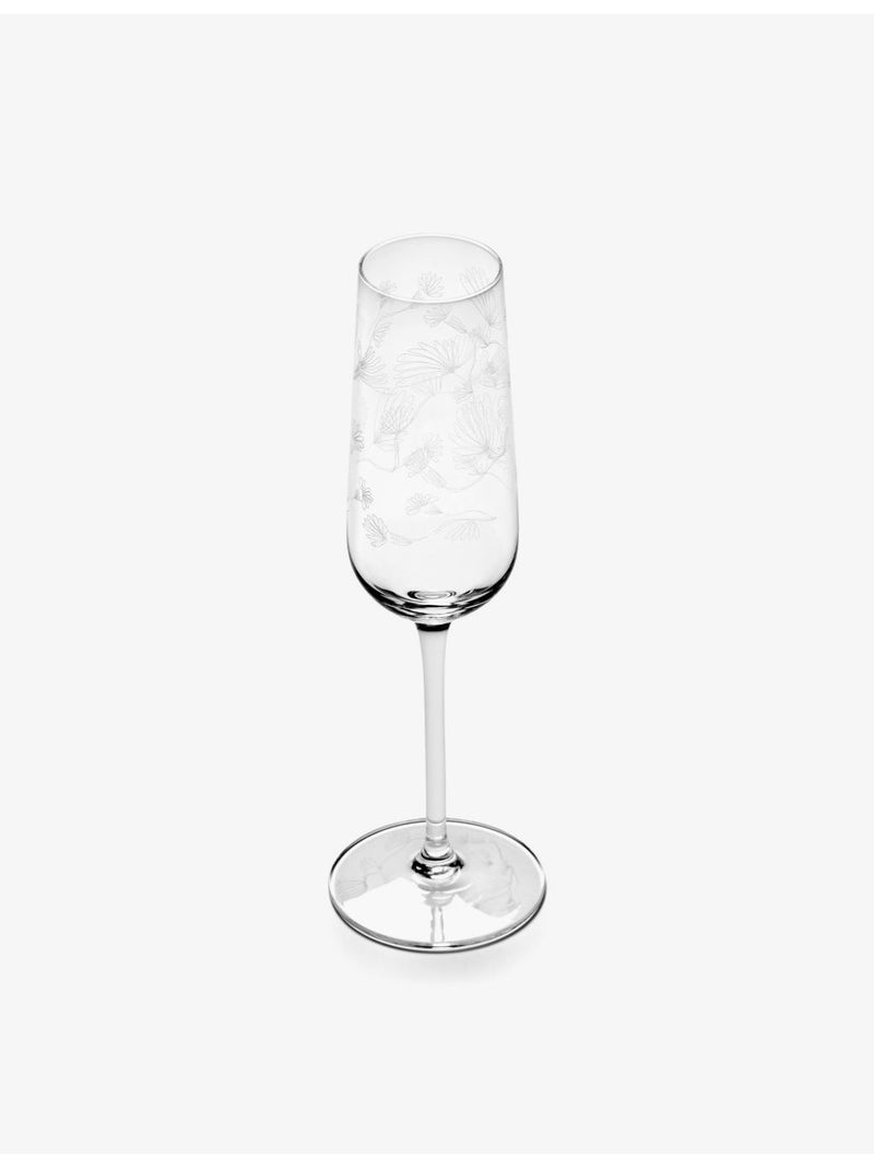 Serax Marni champagne flute set of four, imported from the UK