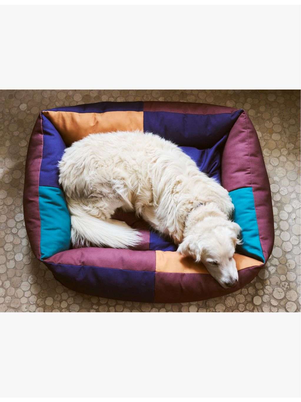 HAY colour-block large dog bed (British brand)