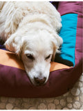 HAY colour-block large dog bed (British brand)