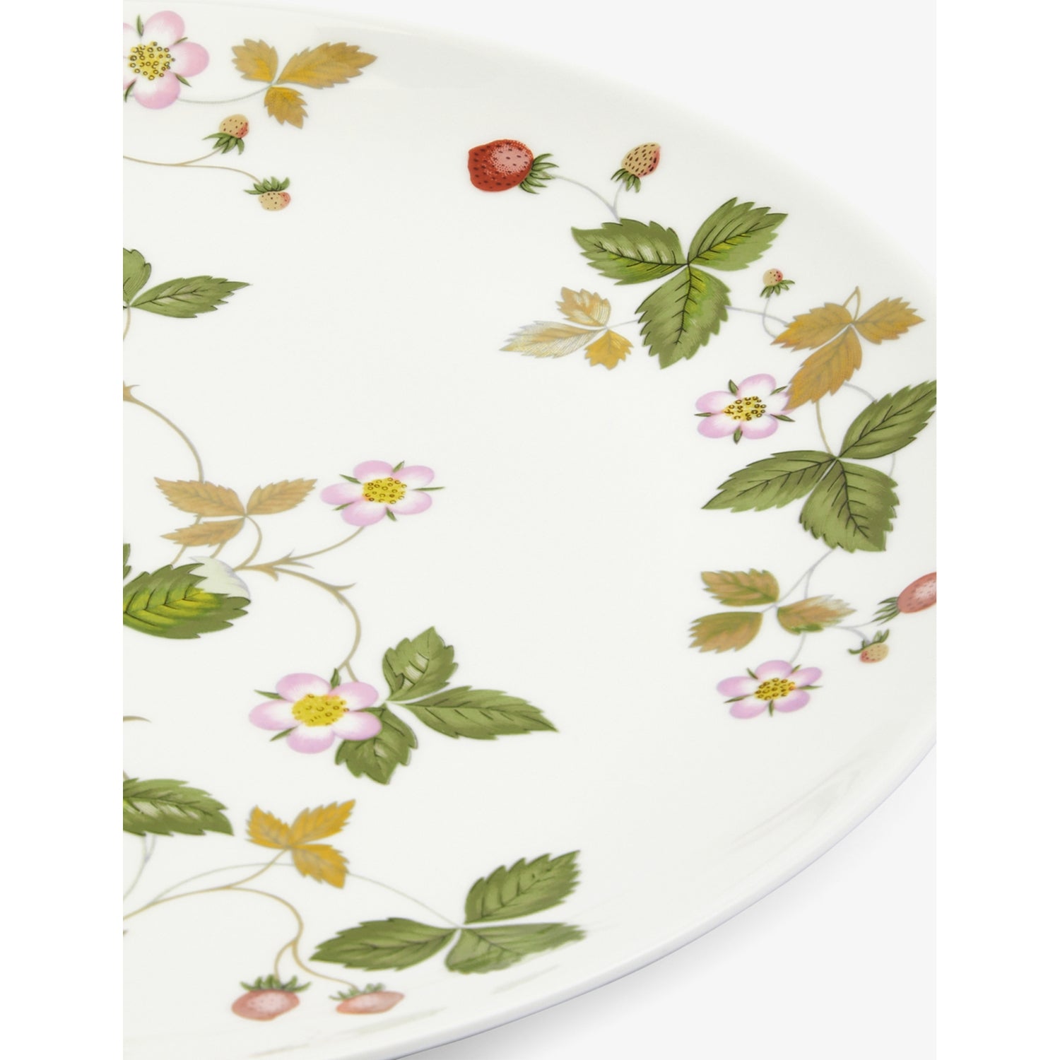 Wedgwood Wild Strawberry bone-china plate 27cm, UK version