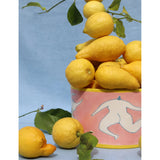 Laetitia Rouget ceramic storage jar hand-painted 23cm, UK version