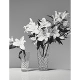 Waterford Lismore crystal glass vase 20cm (British brand)