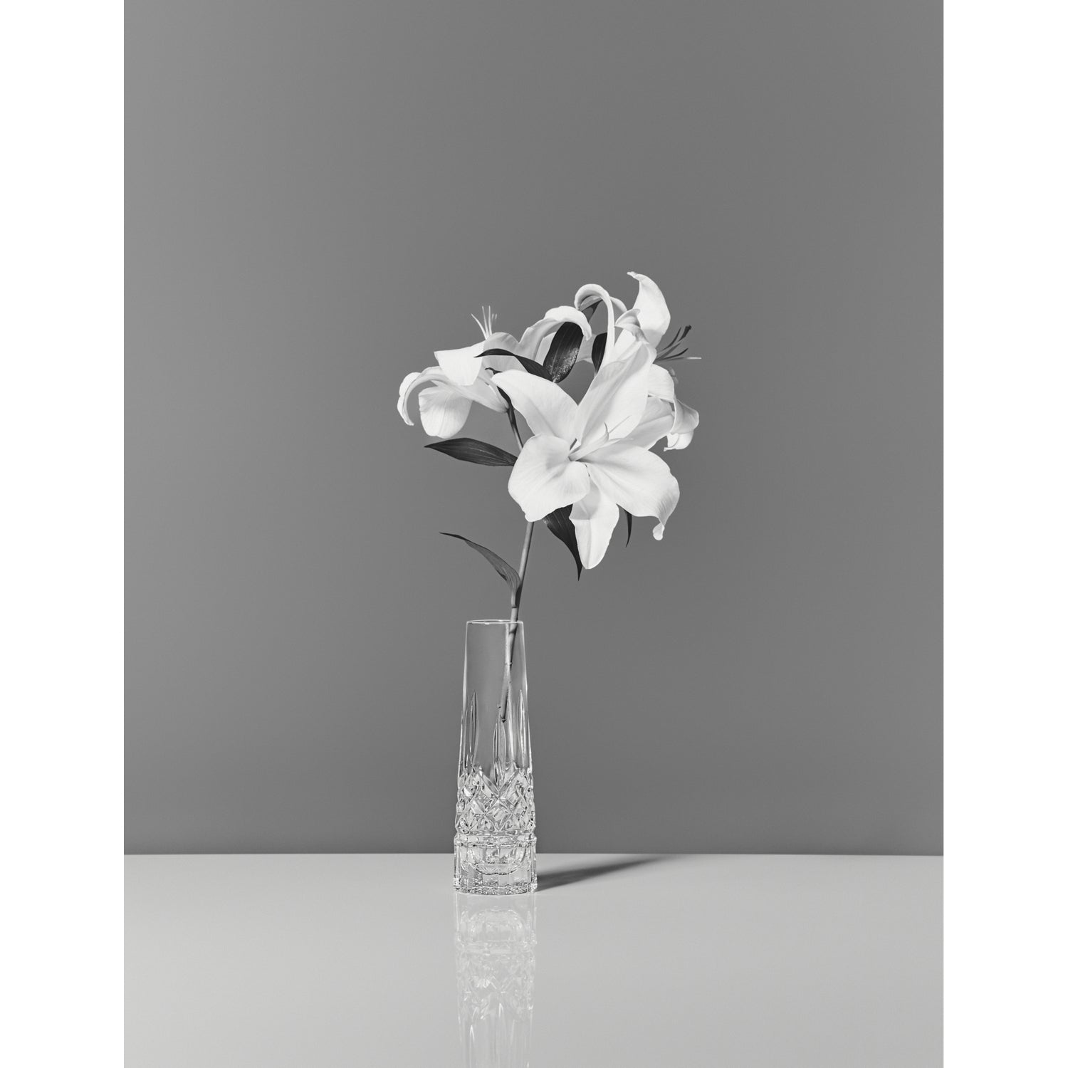 Waterford Lismore bud crystal vase 18cm - British product