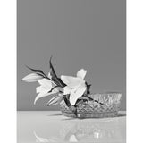 Waterford Lismore crystal bowl 25cm (British brand)