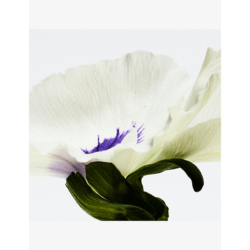 Loewe Agua Drop Eau de Parfum fragrance, imported from the UK