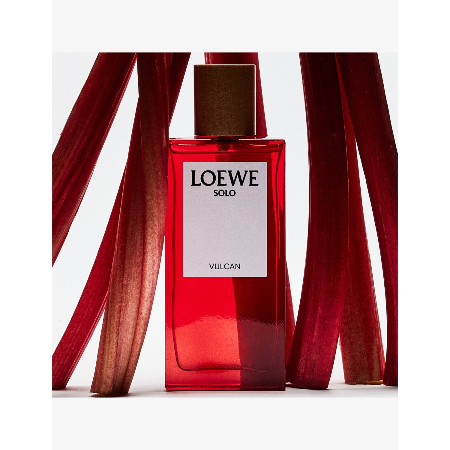 Loewe Solo Vulcan Eau de Parfum fragrance (British brand)
