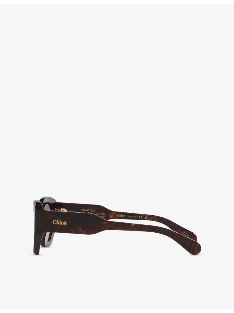 Chloé cat-eye acetate sunglasses CH0220S, UK version