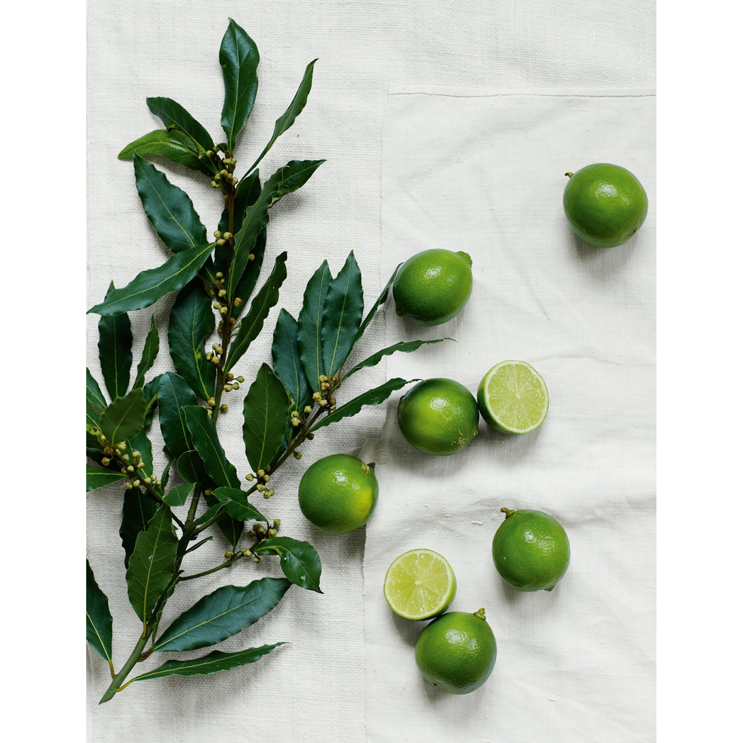The White Company Lime and Bay mini scenting set (British brand)