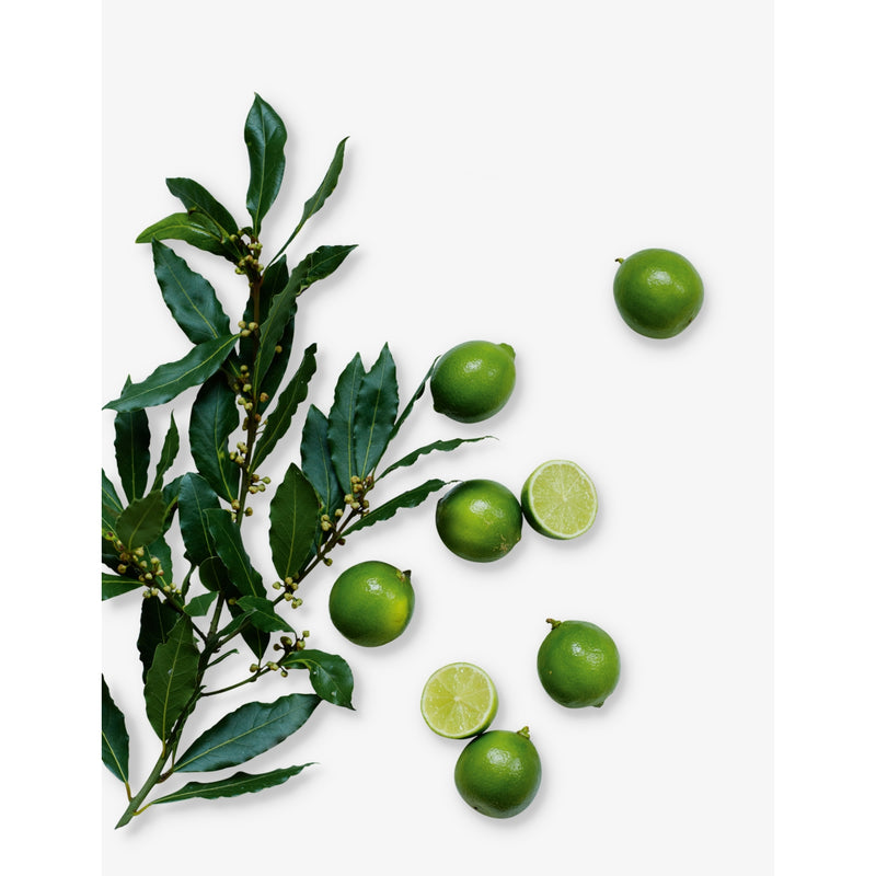The White Company Lime & Bay home scenting set (British brand)