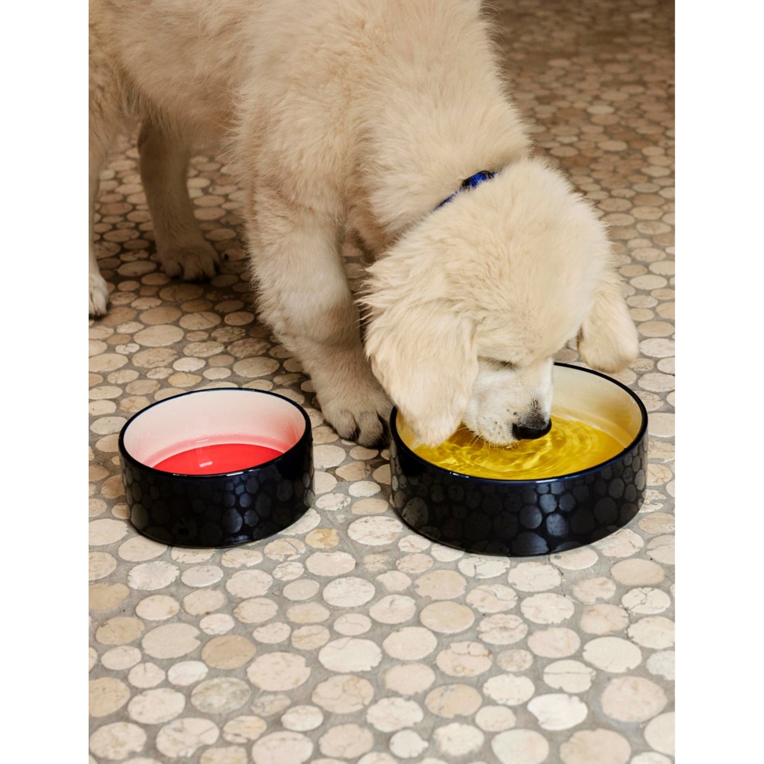 HAY round stoneware dog bowl colour-block 20.8cm (British brand)