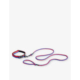 HAY stripe flat dog collar adjustable 35-55cm - British product