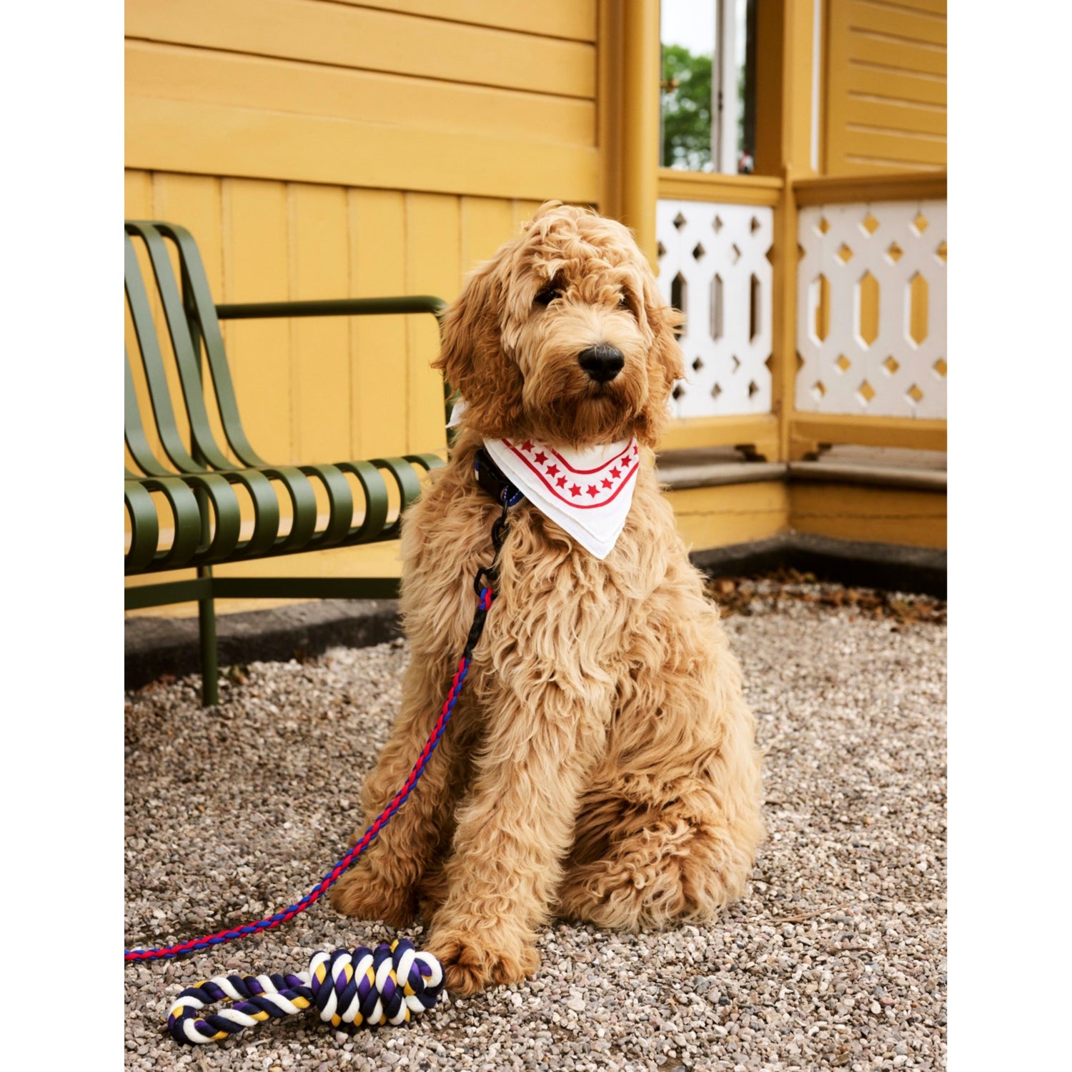 HAY plaited dog leash in two-tone polyester 160cm - British product