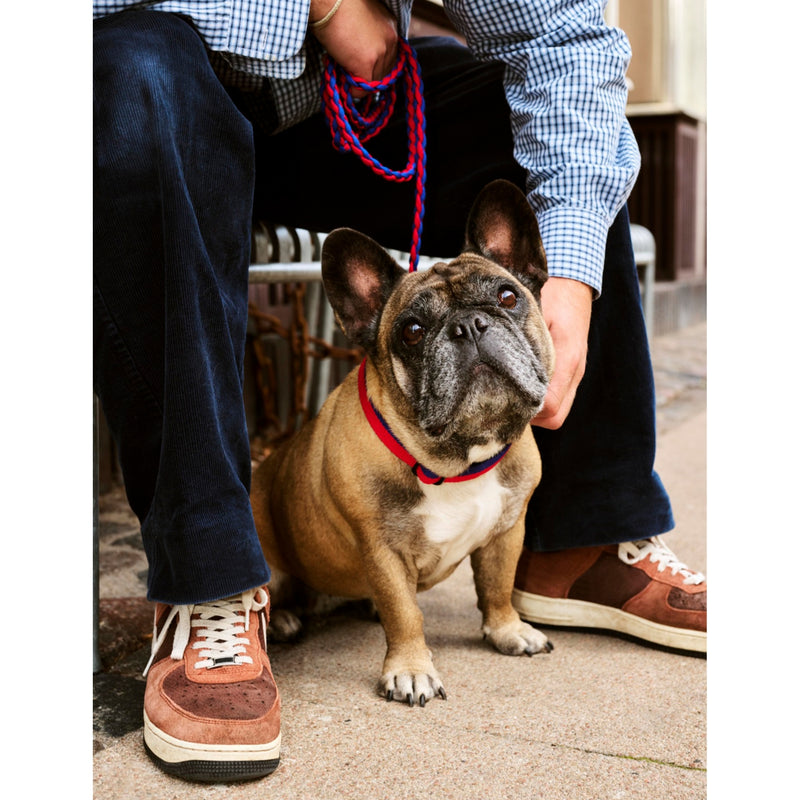 HAY plaited dog leash in two-tone polyester 160cm - British product