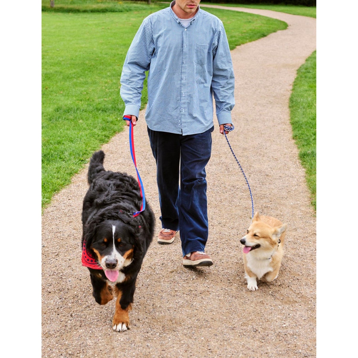 HAY plaited woven dog leash 160cm length (British brand)