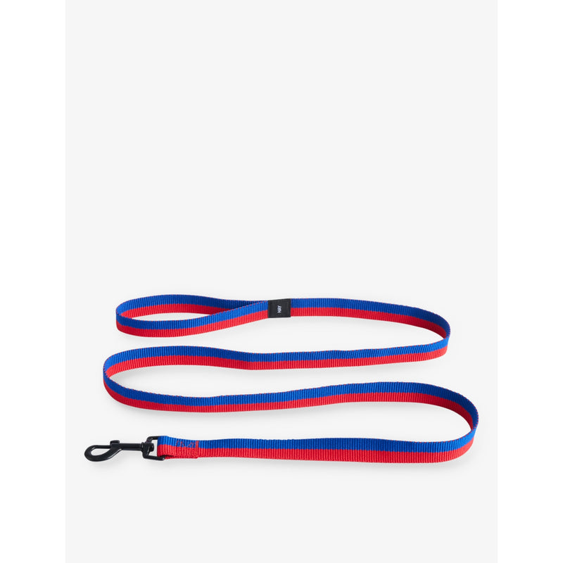 Plaited Woven Dog Leash - Blue And Off White