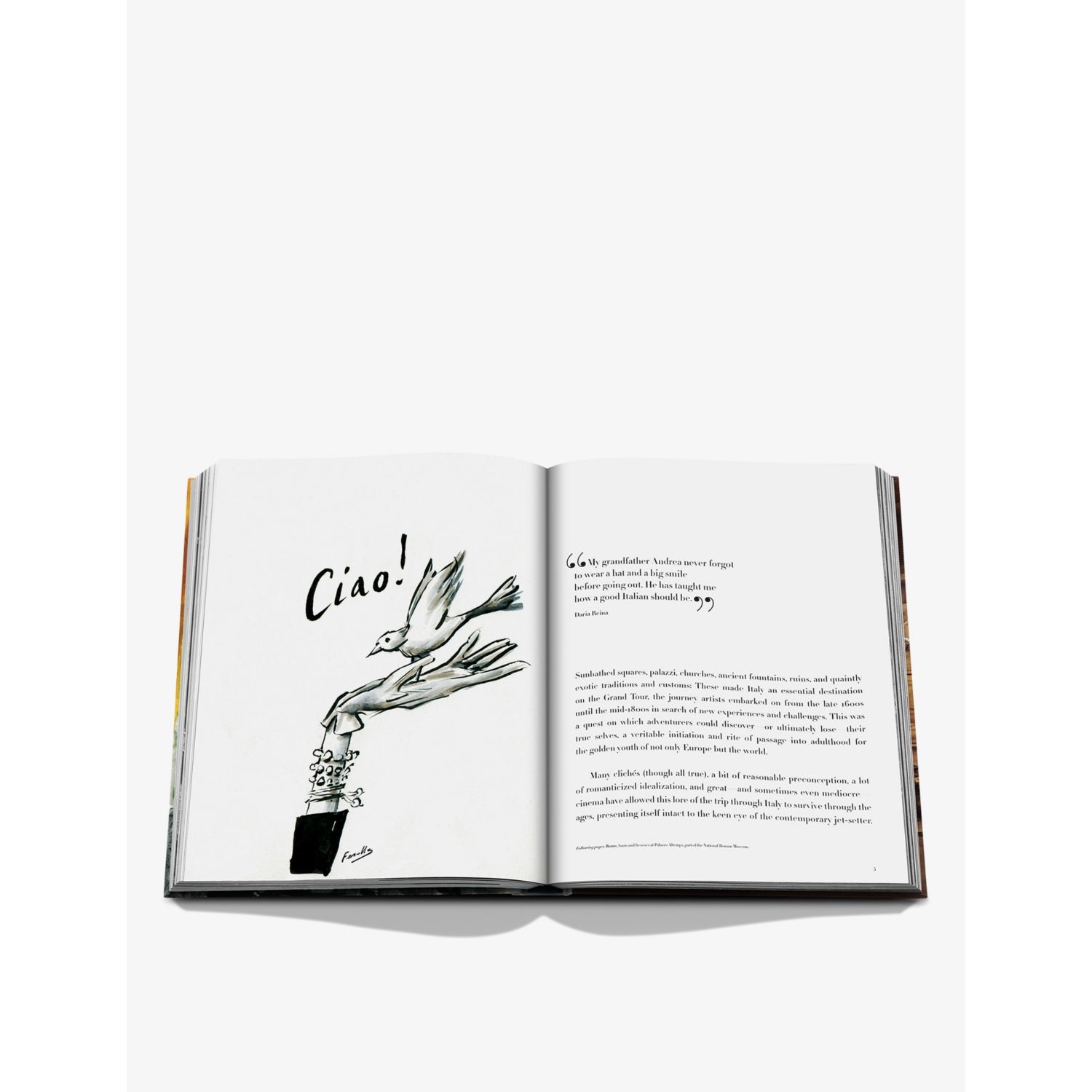 Assouline Italian Chic hardback book 264 pages - British product