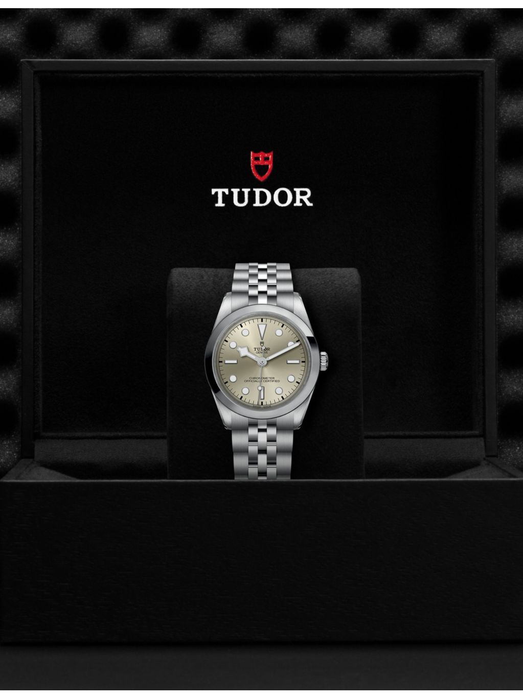 Tudor Black Bay stainless-steel automatic watch 36mm, imported from the UK