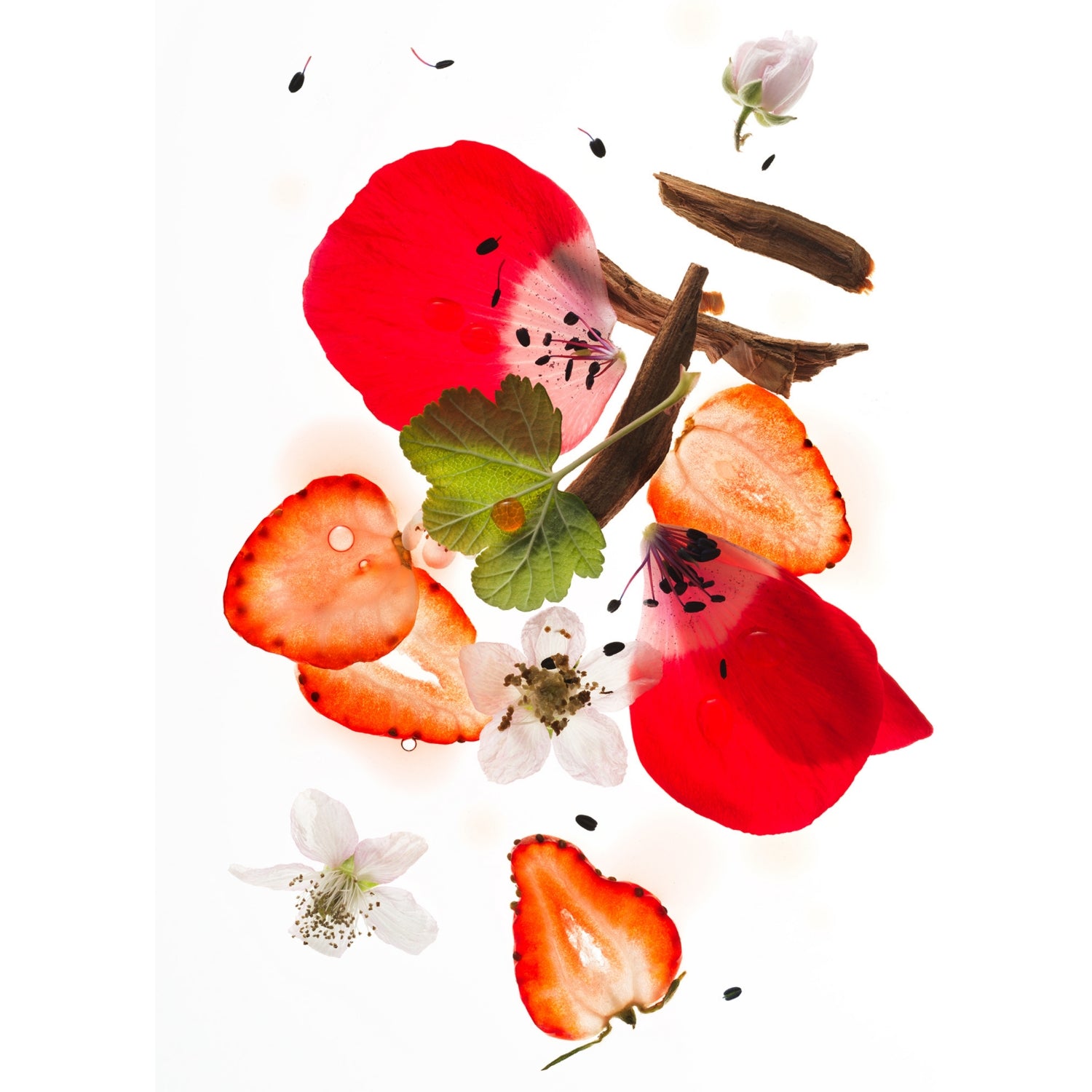PHLUR Strawberry Letter eau de parfum 9.5ml, imported from the UK