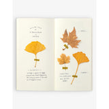 Traveler's Company blank notebook refill 64 pages, imported from the UK