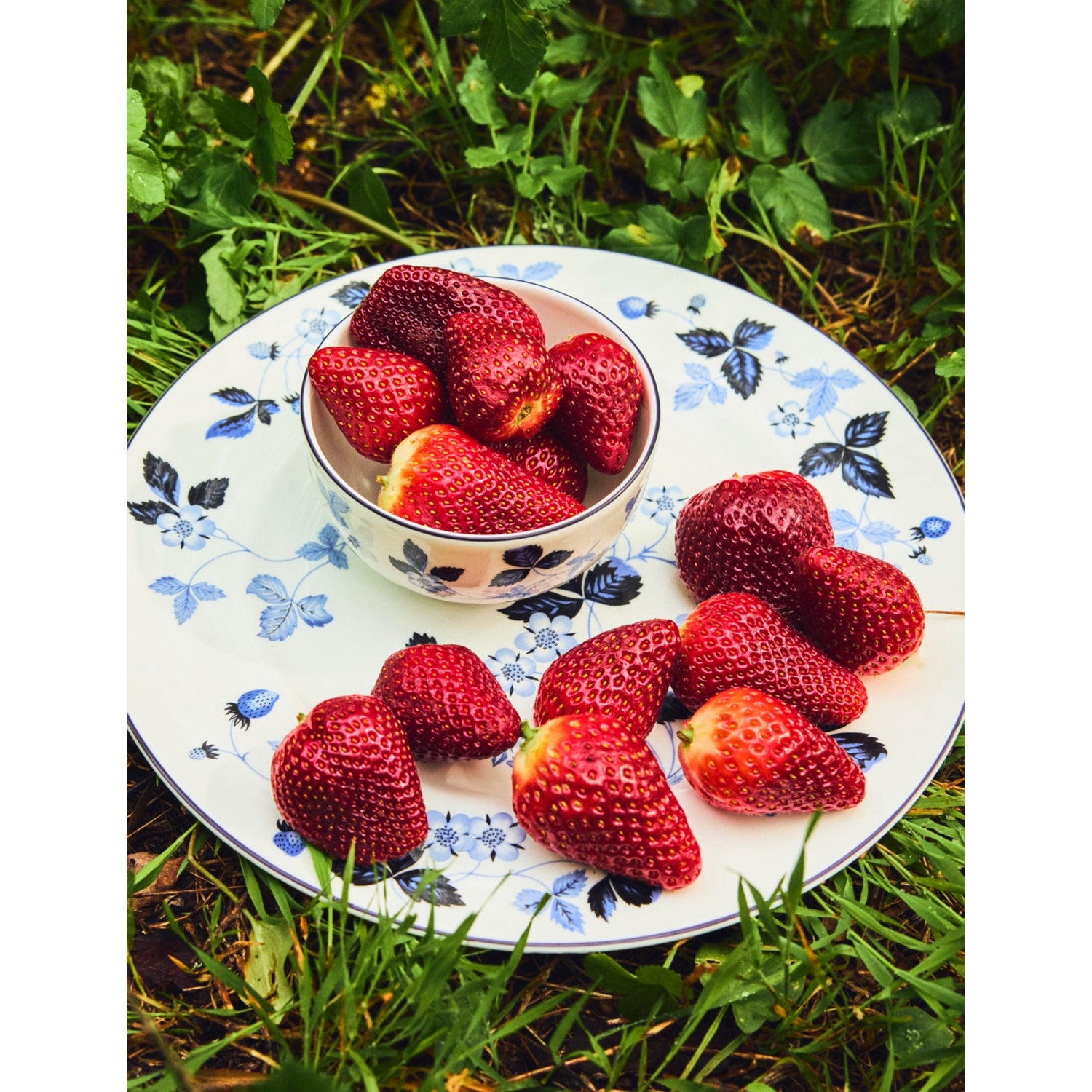 Wedgwood Wild Strawberry bone china plate 27cm - British product