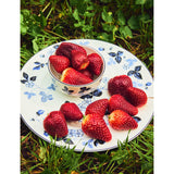 Wedgwood Wild Strawberry bone china plate 27cm - British product