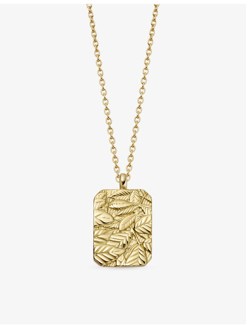 Astley Clarke Terra Strength locket necklace 16 inch, UK version